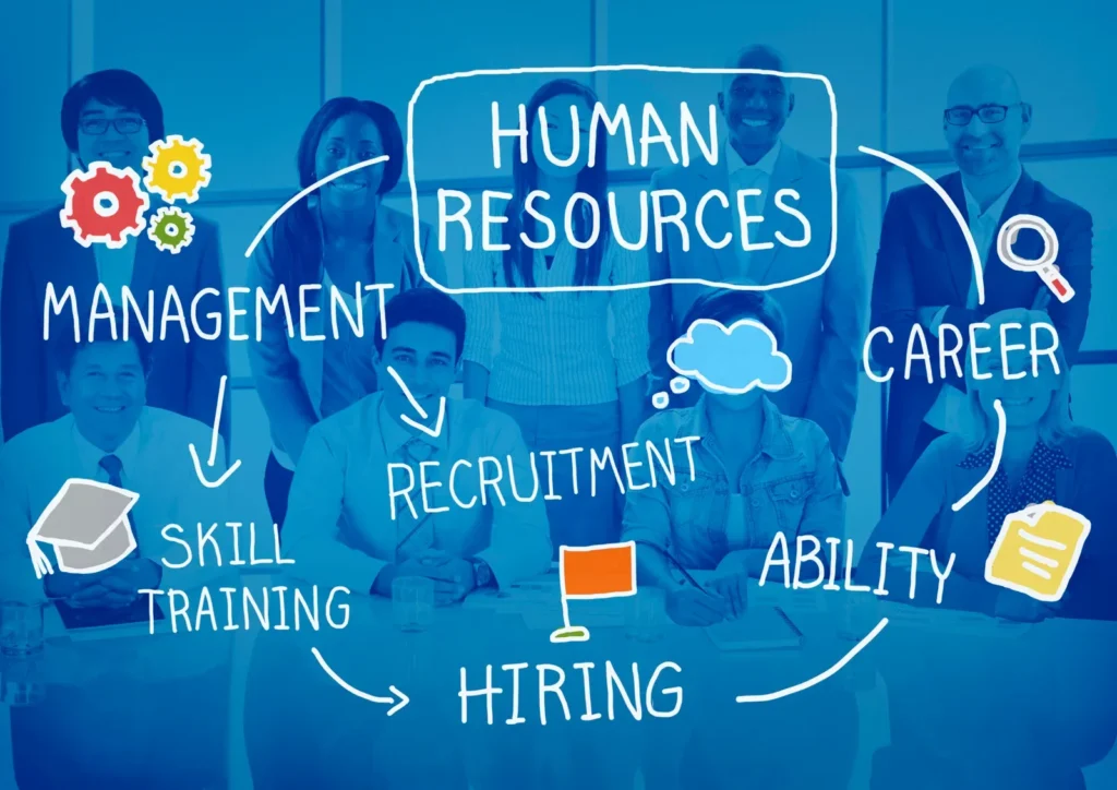 Human resources illustration: recruitment, skills, training and career development