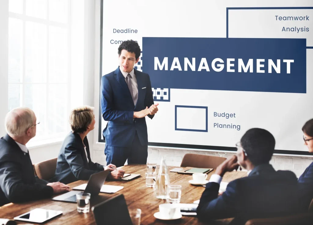 Management consultant presenting a business strategy to a team